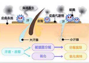 广州肤康皮肤病医院