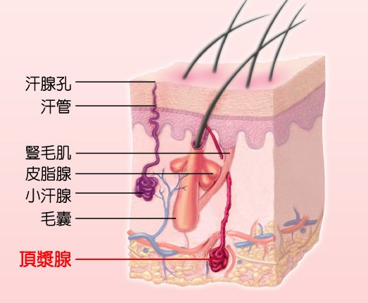 广州肤康皮肤病医院